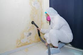 Best Emergency Mold Remediation  in Solvang, CA